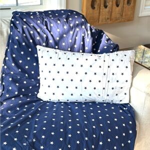 Pottery Barn Kids Toddler Duvet Cover and pillowcase